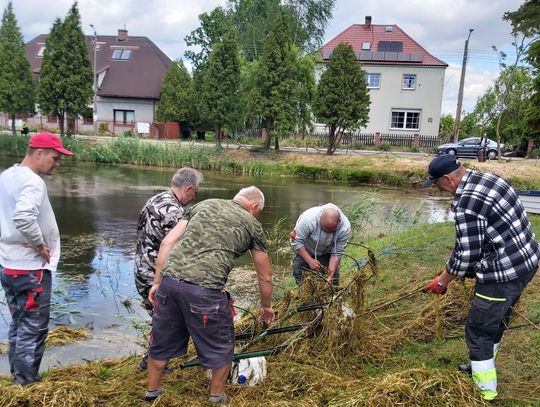 MIESZKAŃCY SOLNEJ PORZĄDKUJĄ STAW