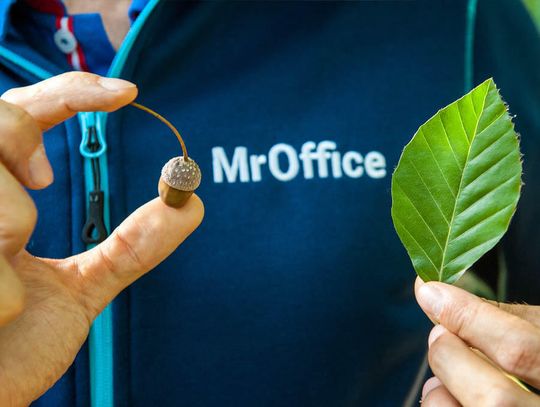 Profesjonalne sprzątanie we Wrocławiu