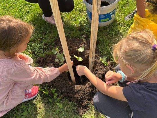 Zielona Gmina - Młodzi dla Klimatu