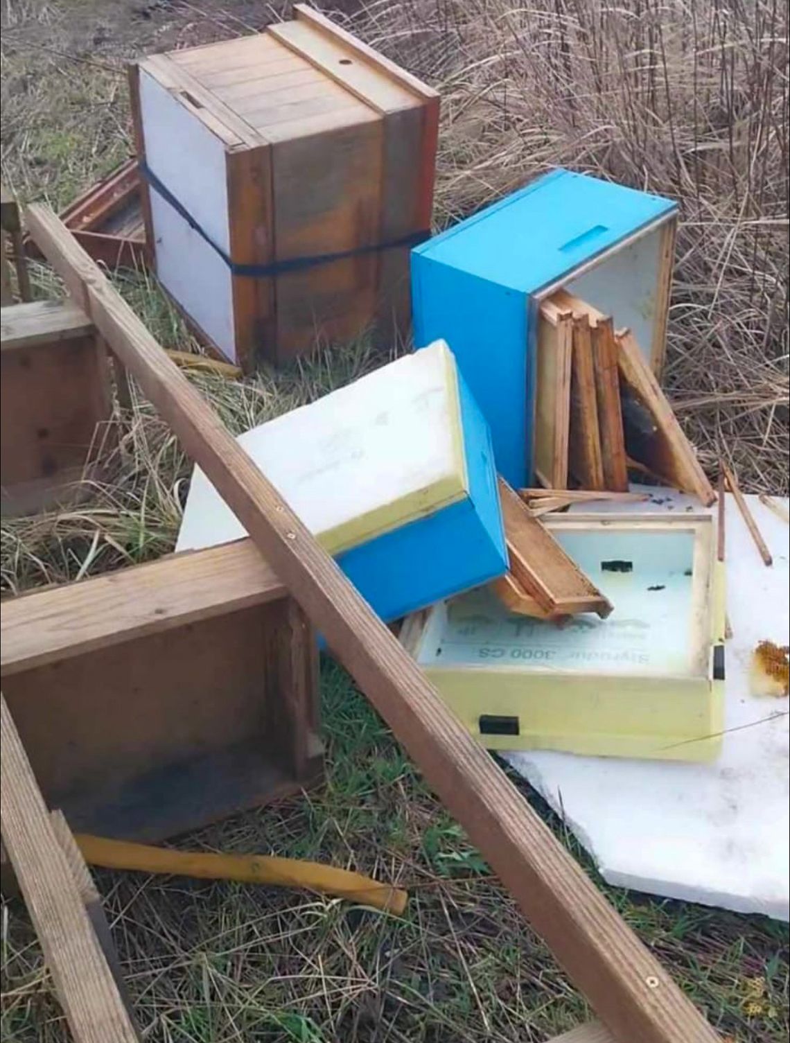 Ktoś zniszczył ule na Wojszycach. 6 pszczelich rodzin umarło z zimna