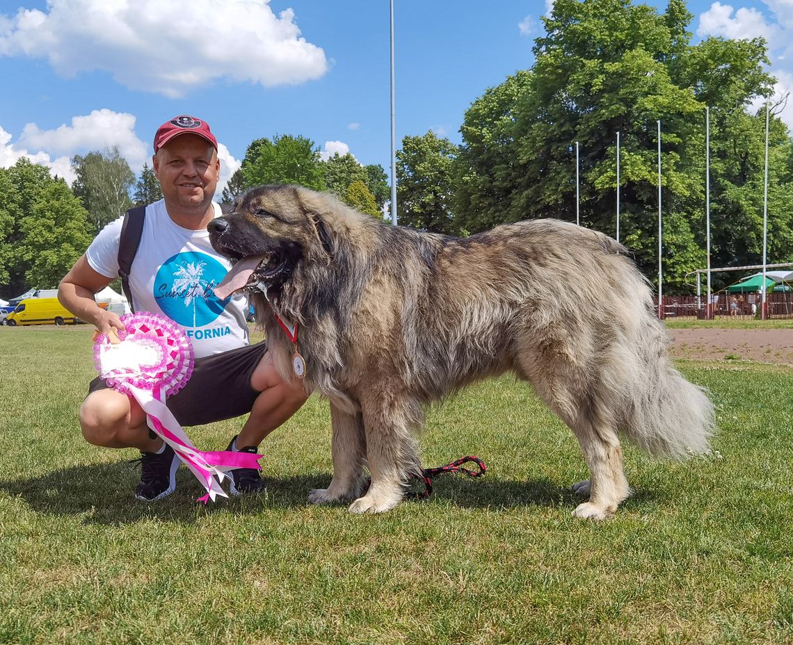 MAILO – psi champion z Kobierzyc!