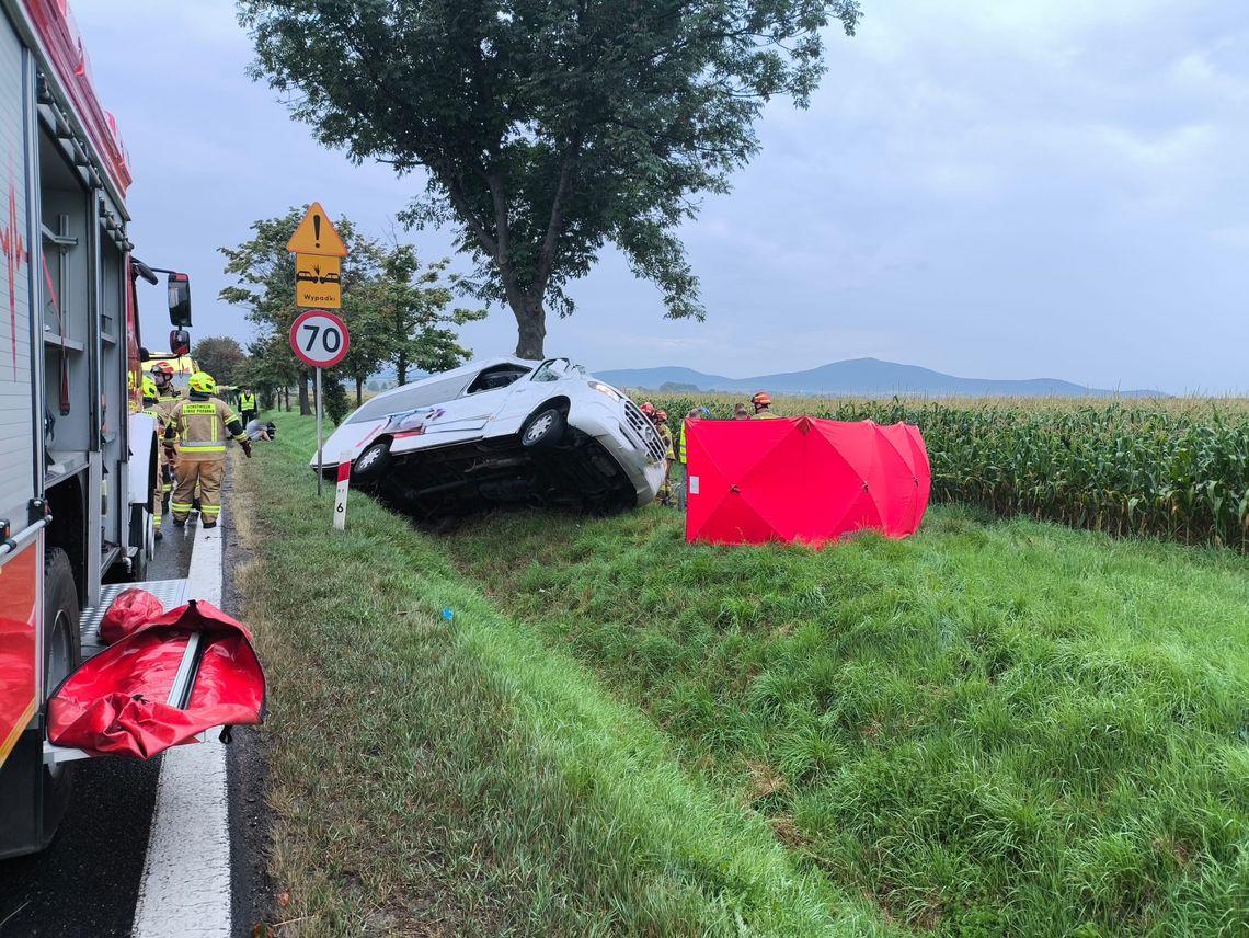 Tragiczny wypadek na DK8 w Pustkowie Wilczkowskim. Bus uderzył w drzewo – dwie osoby nie żyją, trzy są ranne